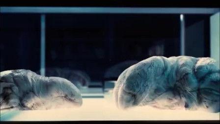 颤栗异种 在线观看,惊悚异域生物入侵，生存之战一触即发  第3张